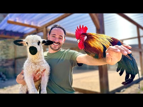 J'ai CONSTRUIT ma PETITE FERME pour être AUTONOME !
