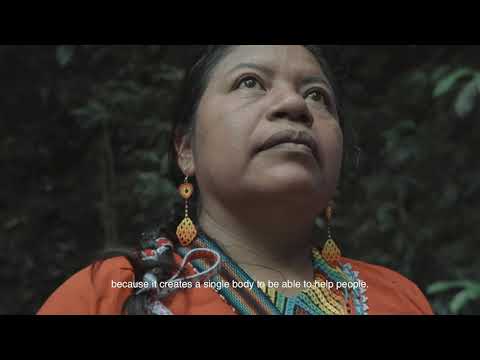 Power plants | Yagé