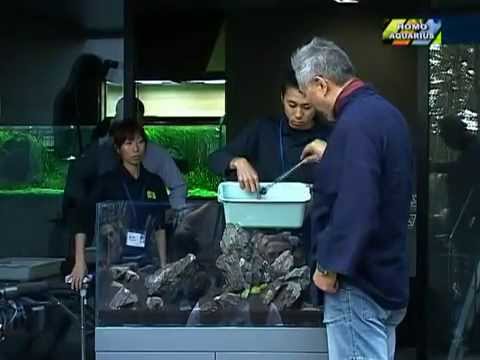 Мастер-класс от Такаши Амано 1