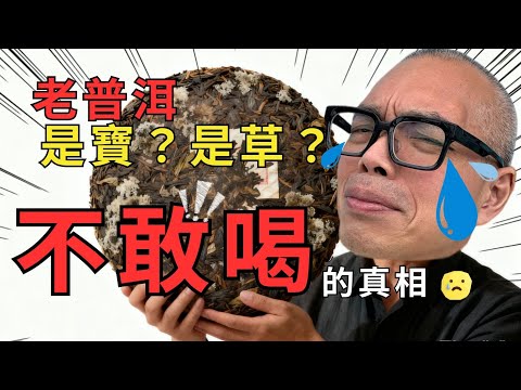 【挑戰迷思】你家那塊老普洱是寶?是草?專家不敢喝的真相!#普洱茶保存 #老茶 #茶葉保存 #茶知識 #普洱茶收藏 #發霉 #teastorage #puerhtea #teaknowledge