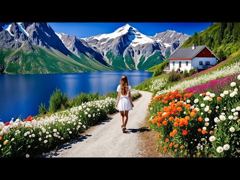 DRIVING IN SWISS  - 10  BEST PLACES  TO VISIT IN SWITZERLAND - 4K   (8)