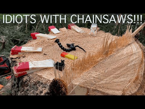 IDIOTS WITH CHAINSAWS!!! My First Tree Job as a Business Owner