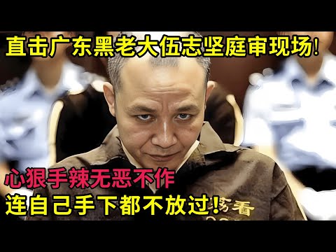 直击广东最凶残黑老大伍志坚庭审现场!心狠手辣无恶不作,连自己手下都不放过！