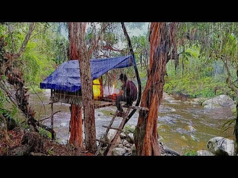 Membangun tempat berlindung sederhana di tepi sungai || Solo camping survival