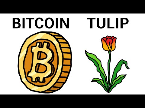 Every Financial Bubble Explained In 9 Minutes