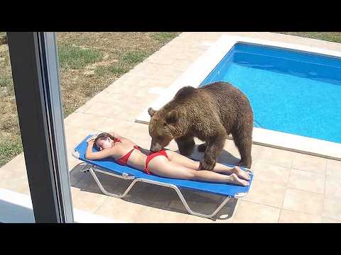 When Animals Think No One’s Watching 😂 Backyard Edition