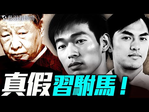 習駙馬是他？秦玥樂如何「逆襲」成為中國第一駙馬？｜薇羽看世間 20250607