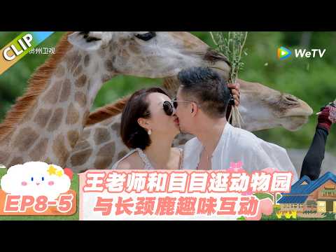 【SUB】日落时分说爱你 EP8-5：王老师和目目，在动物园邂逅一场温柔浪漫！#日落时分说爱你 #恋综
