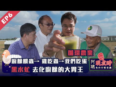 廚餘餵蟲,蟲餵雞,雞生蛋|生生不息的黑水虻循環農業|阿聰現煮時 島的行動客廳|公視我們的島4K版 EP.06