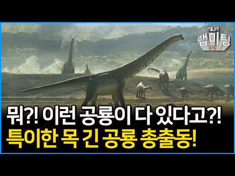 뭐?! 세상에 이런 공룡이 다 있다고?! 특이한 목 긴 공룡 총출동! [안될과학-랩미팅]