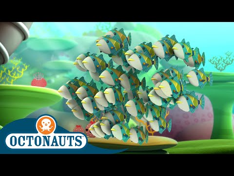 Octonauts - Humuhumus & The Electric Torpedo Rays | Cartoons for Kids | Underwater Sea Education