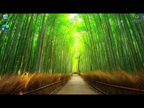 In depth Windows 11 install and no BS optimisation guide 2025! Tweaks, latency fixes and pro tips!