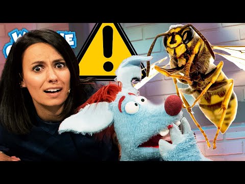 Wie gefährlich sind Wespen? l WOOZLE GOOZLE