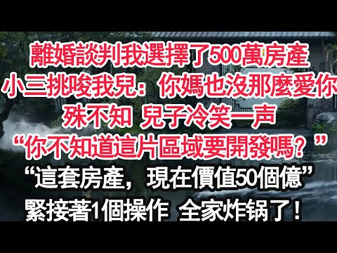 離婚談判我選擇了500萬房產小三挑唆我兒：你媽也沒那麼愛你殊不知 兒子冷笑一声“你不知道這片區域要開發嗎？”“這套房產，現在價值50個億”緊接著一個操作 全家認慫了！【顧亞男】【大女主】【婚姻自主】