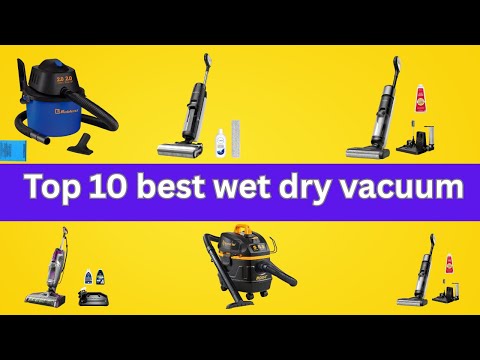 top 10 best wet dry vacuum