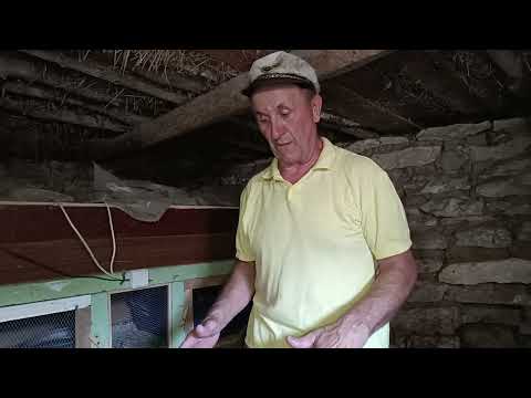 У нас переселение. Собираем урожай. Наши деревенские будни.