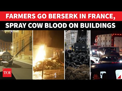 France Boils: Angry Farmers ‘HUMILIATE’ Macron; Spray Cow Blood, Dump Dung Outside Govt Offices