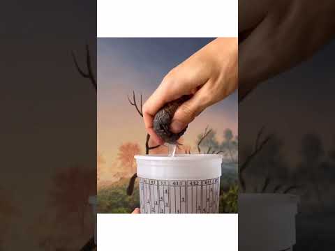 Acrylic Spring Painting From Start To Finish 🎨 #acrylicpainting #paintingprocess #artwork