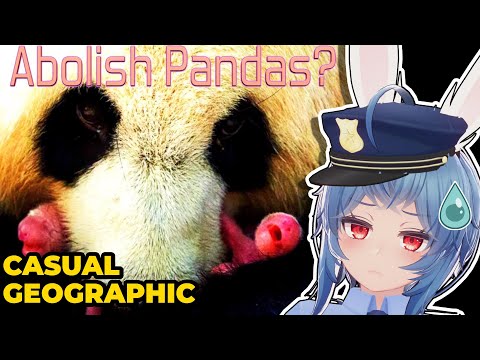 Should We Let Nature Finally Delete Pandas? - Casual Geographic Reacts