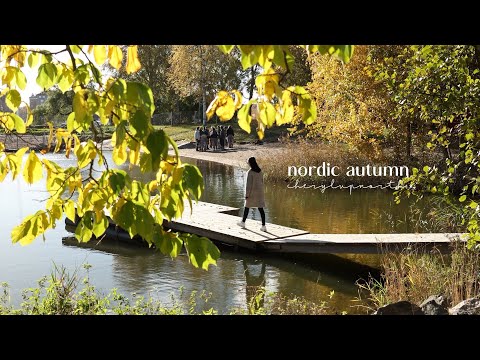 Nordic Autumn Days 🍂 | City Walks & Window Shopping | Cozy Home Comforts | Slow Life in Finland