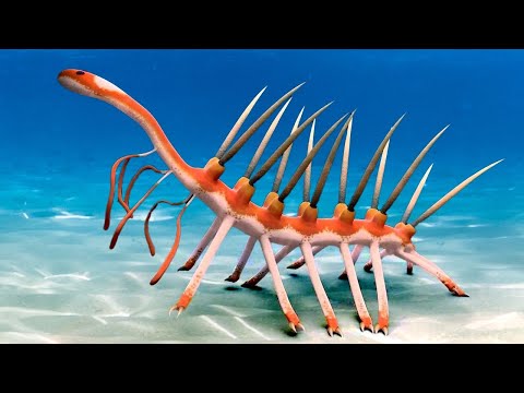 When Aliens Hide In Plain Sight