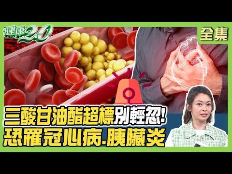 李濤血管硬化如90歲老人！三酸甘油酯超標恐罹冠心病、胰臟炎！1超級食物助降血脂！健康2.0【完整版】#鄭凱云 #康志森 #蔡時安 #吳宏乾 #許聖梅 #雷議宗
