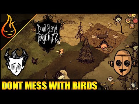 Failing At Trying Not To Die In Don't Starve Together
