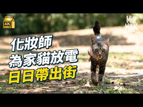 #MM｜化妝師領養活躍流浪貓 每日帶貓散步外出 為惡貓學貓行為訓練 考取資格 定期帶貓行山｜#700萬種生活 #4K