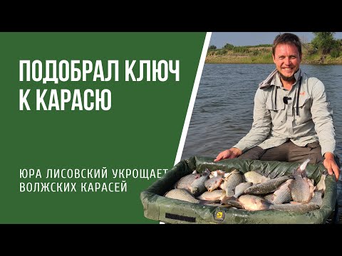 Ловля карася на фидер на Нижней Волге в Астрахани летом