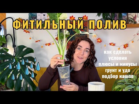 Фитильный полив растений: как сделать, плюсы и минусы, грунт и удо, подбор кашпо и т.д.