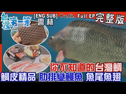 [全新] 雲林【你不知道的"台灣鯛"！鯛皮精品皮件、肋排變"鰻魚"、魚尾變"魚翅"/百年神秘市集！"超狂小吃"當日現宰『溫體牛』、吸爆精髓『羊骨湯』】│2023.07.09│《台灣第一等》完整版