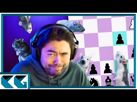 Hikaru's Secret Chess Opening - THE ENGLISH RAT DEFENSE!
