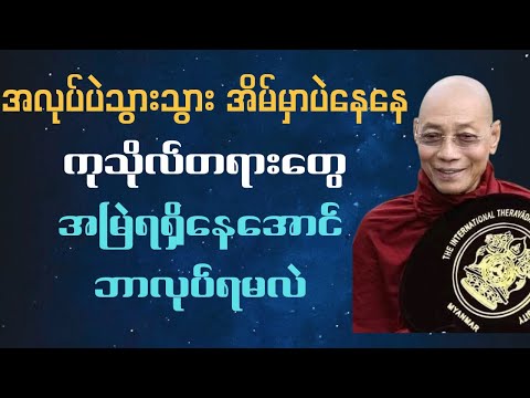 ကုသိုလ်တရားတွေအမြဲရရှိနေအောင် ဘာလုပ်ရမလဲ#ပါချုပ်ဆရာတော်တရားများ#buddha 