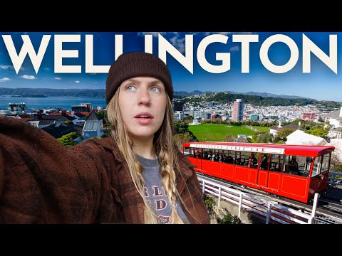 Wellington First Impressions (not what I expected)