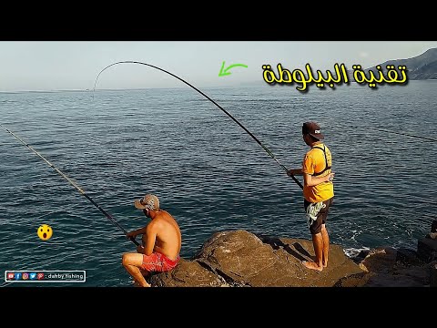 لم نتوقف عن سحب الأسماك طول اليوم بتقنية البيلوطة مع طعم الذي لا يقاومه أي سمك