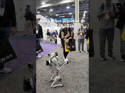 Este perro robot juega con la gente en el CES🐶#CES2026 #RobotDog #Tech #Futuro #PrometeoTec
