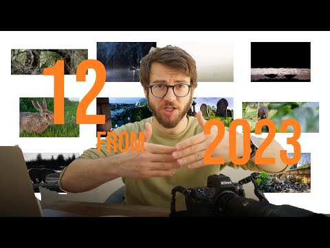 My WILDLIFE PHOTOGRAPHY from 2023 | A look back at some of my favourite images from last year!