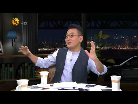 《锵锵三人行》20170718 熊家长掩护孩子逃飞机票全机乘客重新安检（许子东 陶杰）