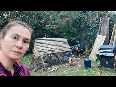 Vlog 173. Наш двір позаду будинку, де гуляють діти і живуть кури