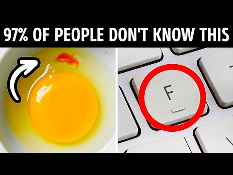 50+ Objects Hide Their True Purpose Your Entire Life