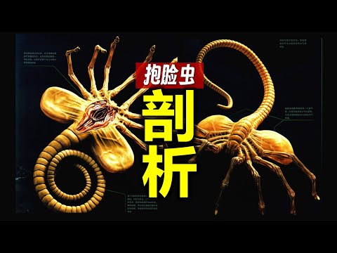 剖析“抱臉蟲”：小時候害怕，長大看臉紅