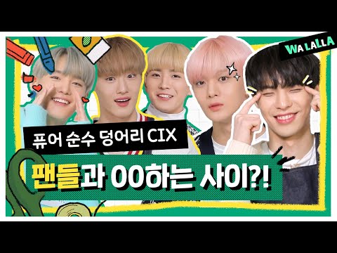 🎨 CIX, we're 00 with FIX! [Big Picture]