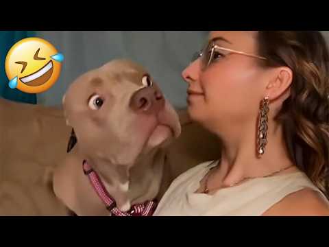 I'm 101% SURE that you will LAUGH EXTREMELY HARD- Funny Dog 2026 #308