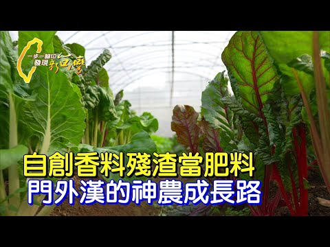 守住父親遺願.傢俱廠老闆轉行農夫.日本專家讚譽：有機菜達人∣ 一步一腳印 彩虹菠菜有機使命 20210321