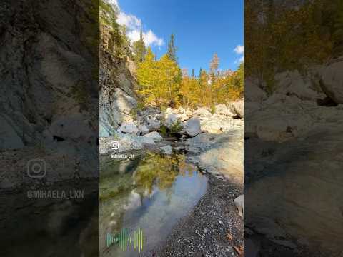 🇹🇷Журчание РУЧЬЯ | The babbling of a brook