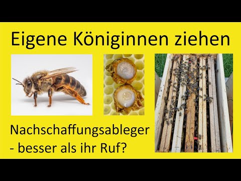 Brutableger, die selber nachziehen - besser als ihr Ruf?