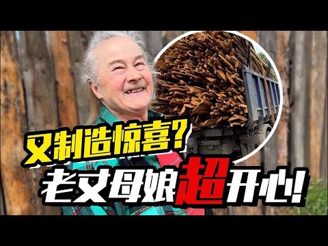 再回俄罗斯丈母娘家，带果树带鱼竿还不够？媳妇竟要养哈士奇？【贝加尔阿楠】#俄罗斯 #乡村爱情故事 #海外生活 #战斗民族 #俄羅斯 #鄉村愛情故事 #戰鬥民族