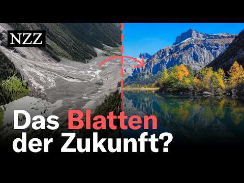 Blatten: Wie Bergstürze Artenvielfalt bringen