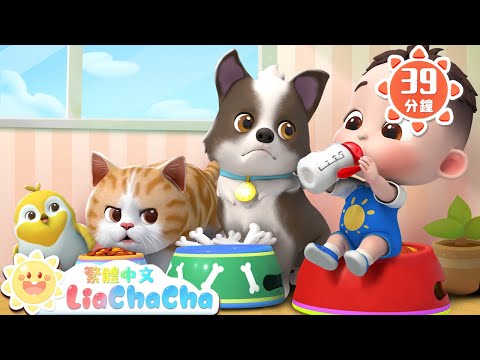 我的寵物朋友 | 親子溫馨時刻 | 啟蒙教育 | 國語童謠 | 人氣兒歌 | LiaChaCha 依娜和恰恰 - 繁體中文 - 兒歌童謠