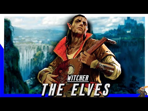 The Origin Story Of The Elves From Witcher | The True Book & Game Lore